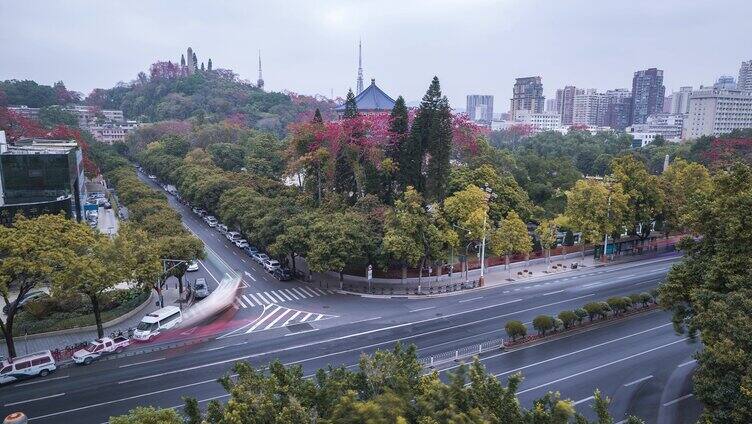 广州中山纪念堂车流延时