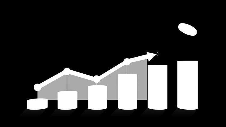 堆金币表示增长利润，信息图表框