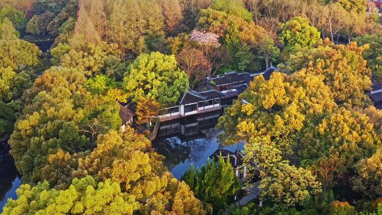 西湖曲院风荷全景