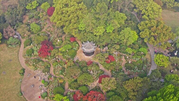 树林的小亭子全景