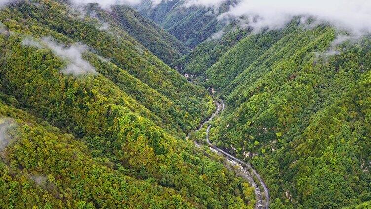 陕西秦岭太洋公路边