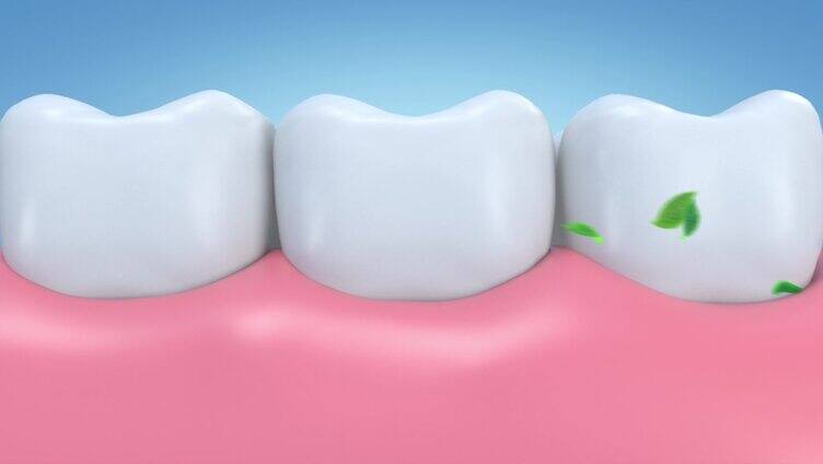 3d动画呈现薄荷叶流清洁牙龈和牙齿