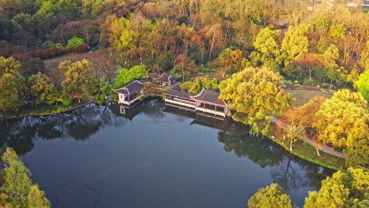 西湖曲院风荷全景