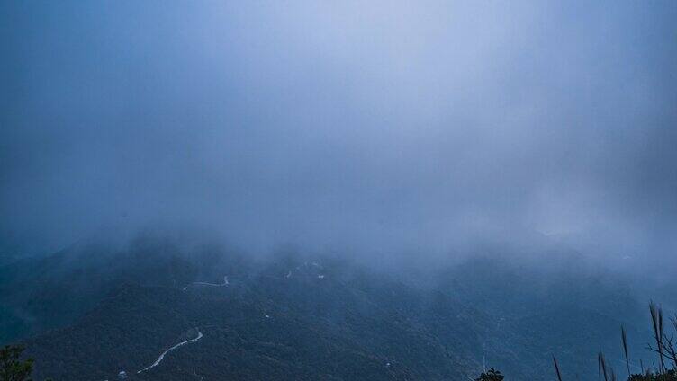 梧桐山_风景云流延时