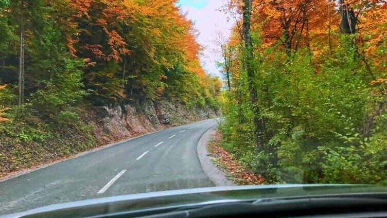 汽车行驶在柏油路上沿着秋天的森林