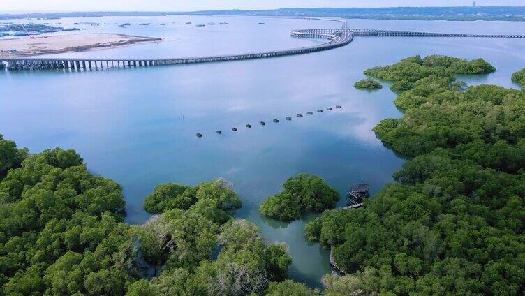 红树林和海滩景观，登巴萨市，印尼巴厘岛