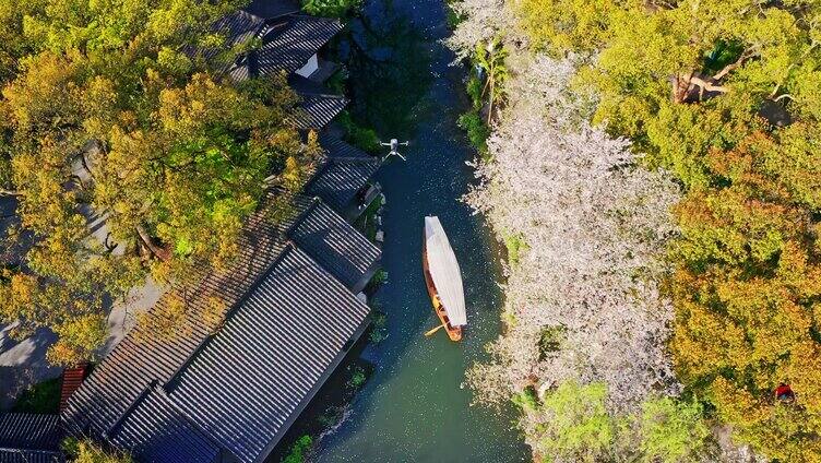 西湖曲苑风荷