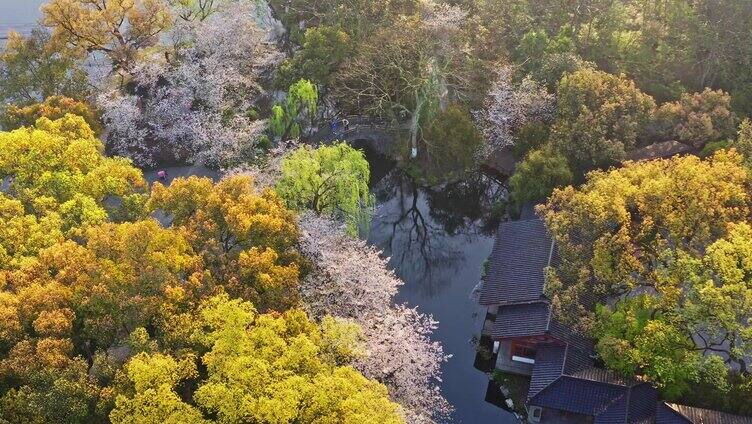 西湖曲院风荷全景