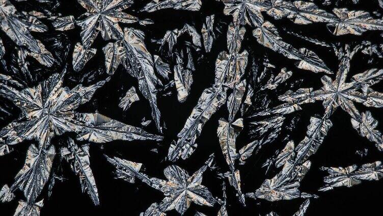在偏光显微镜下，碳酸盐的结晶像一朵由金属制成的花