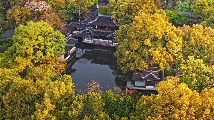 西湖曲院风荷全景