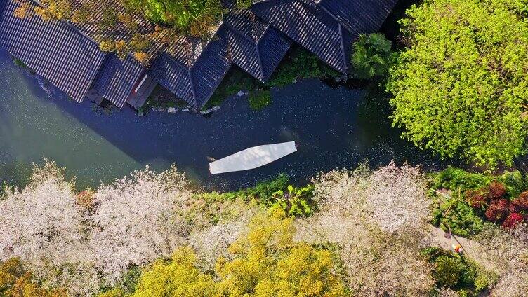 西湖曲苑风荷