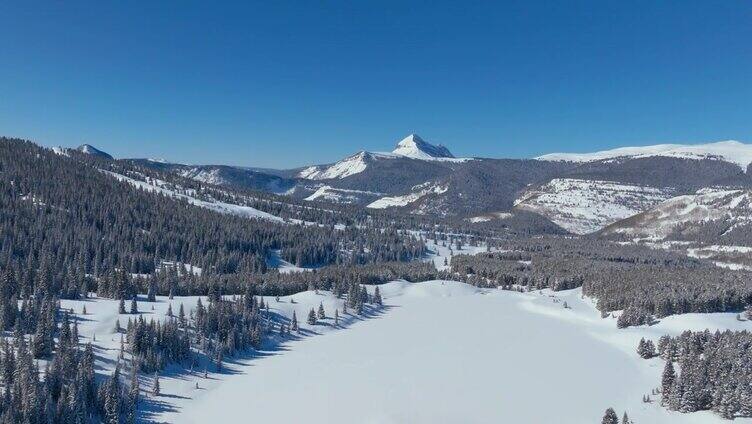 鸟瞰白雪覆盖的树木森林和美丽的山地景观