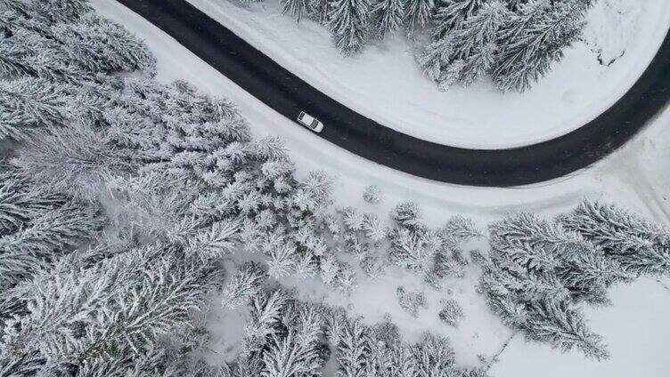 白色汽车沿着道路行驶在冬天的雪原森林