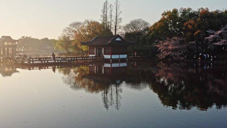 西湖曲院风荷