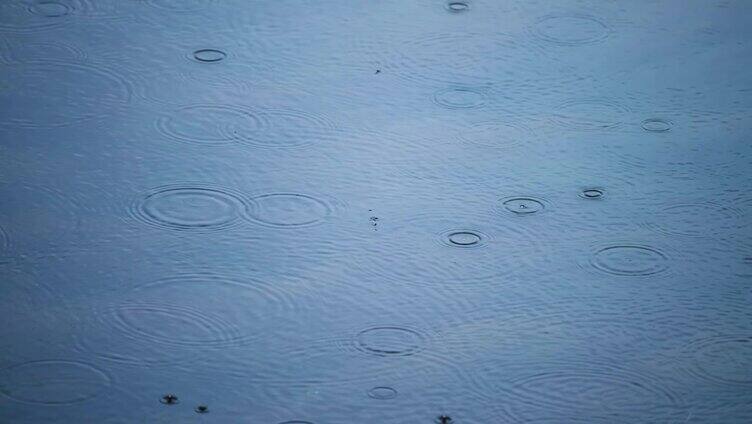 雨滴在水面上弹跳激起涟漪。