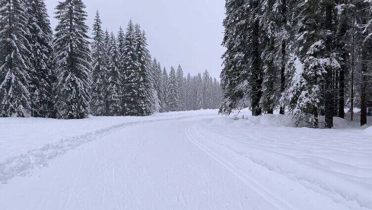 通往白雪覆盖的雄伟山谷的小路