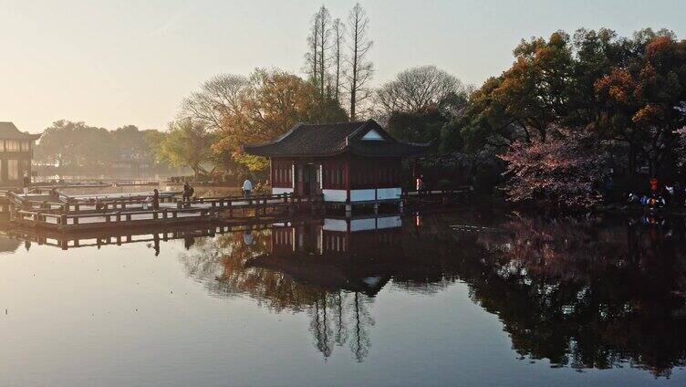 西湖曲院风荷