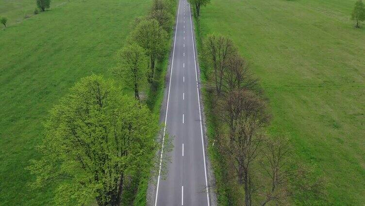 鸟瞰图笔直的乡村道路与树木