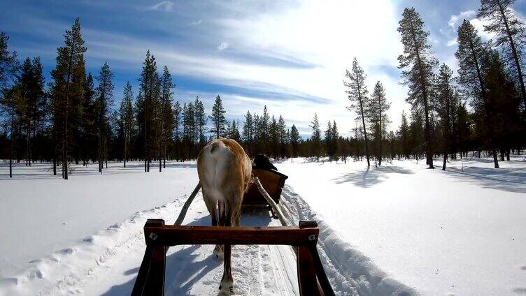4K慢镜头:节日活动。一家人坐在驯鹿雪橇上，芬兰罗瓦涅米