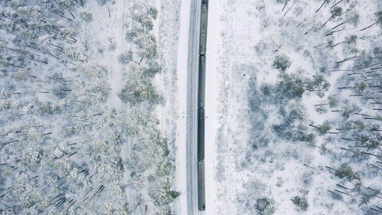 火车在冰雪覆盖的冬季森林中旅行