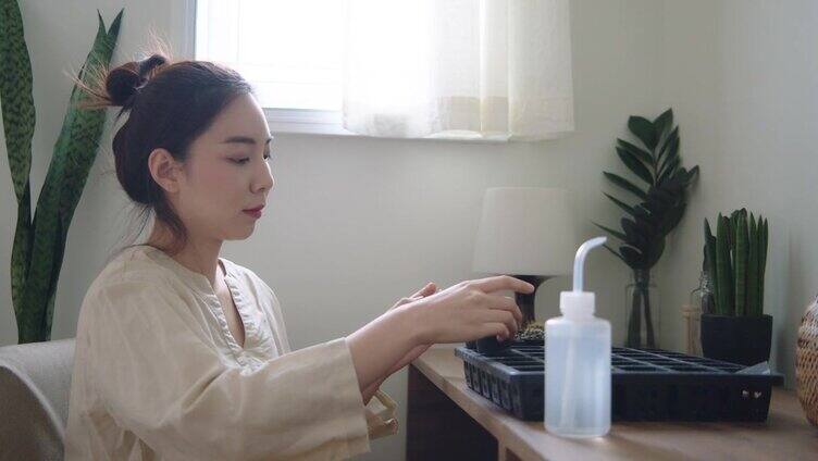 千禧女性在家给室内植物浇水
