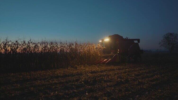 收割者夜间在玉米地里工作