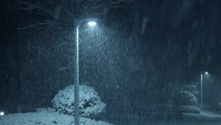 黑夜路灯照亮雪花飘落