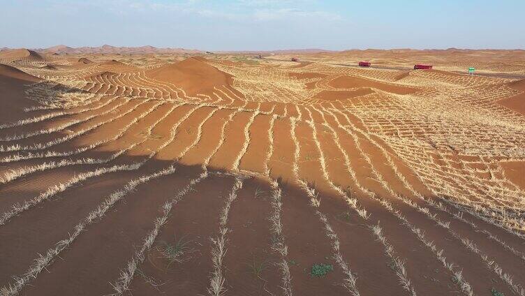 草方格 治沙 固沙 沙漠治理 防风 沙漠