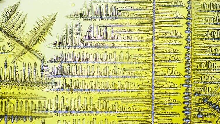 显微镜下冻结的酱油结晶