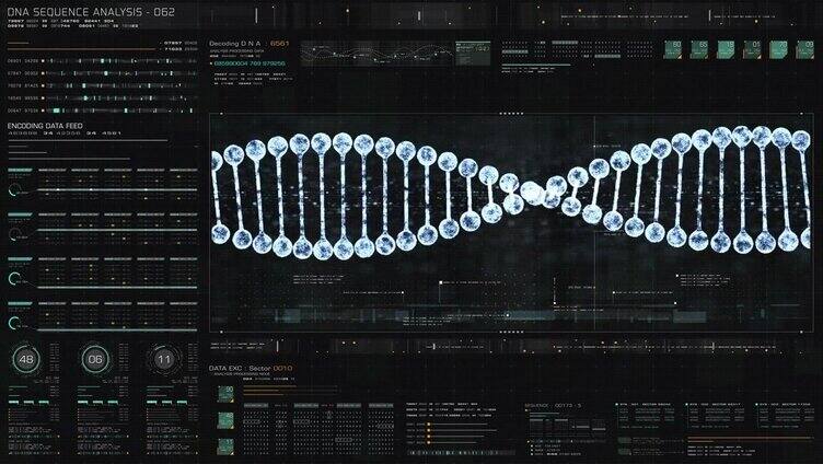 先进DNA序列分析的全息显示