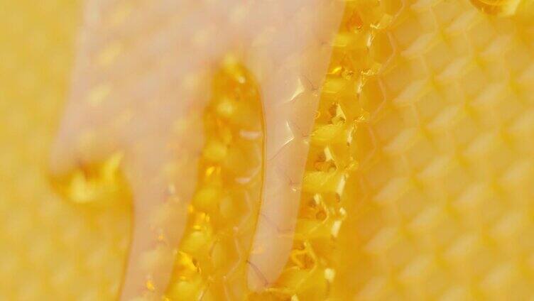 微距拍摄的蜂蜜在蜂巢上流动。Skow莫