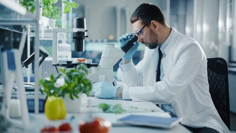 戴着安全眼镜，用高级显微镜分析实验室培育的番茄的英俊男科学家。在现代实验室用技术设备研究分子样本的微生物学家。