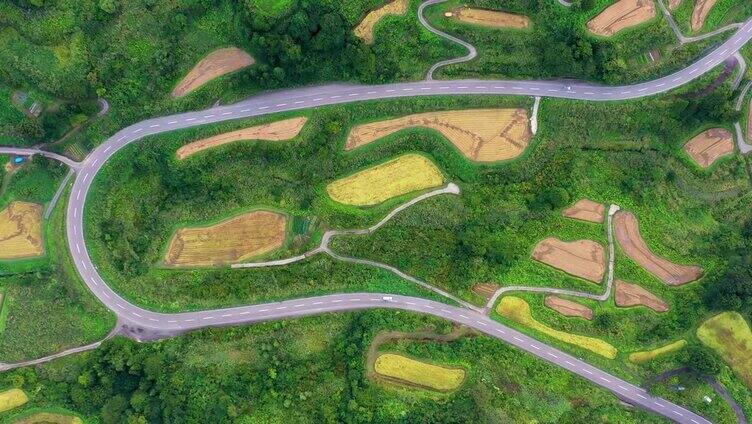 鸟瞰图，山间蜿蜒的道路