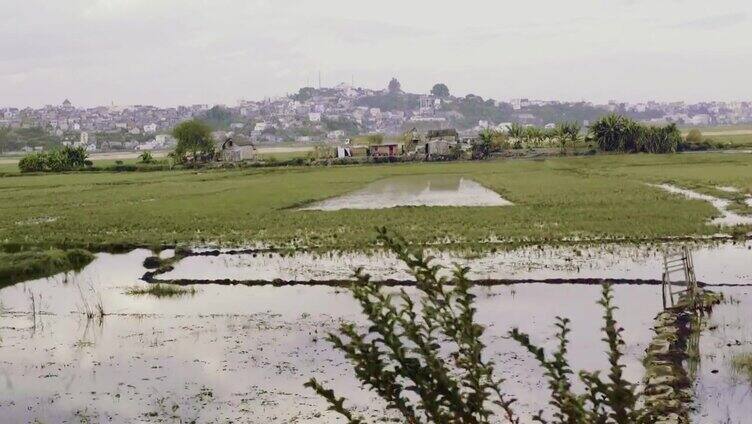 非洲的贫民窟在湿地上