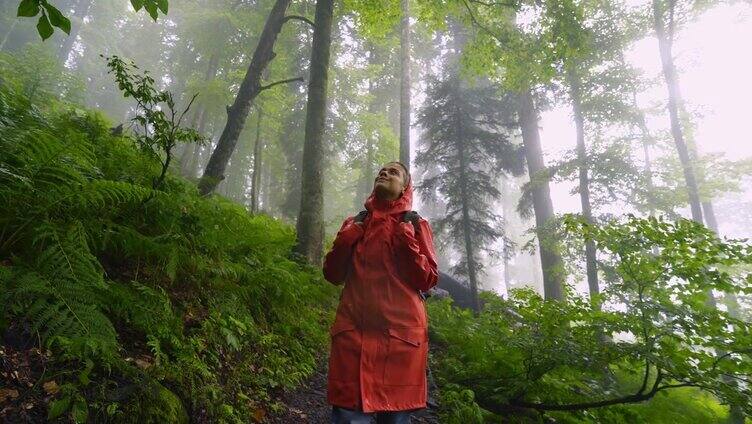 穿着彩色雨衣的女人在潮湿的森林里行走