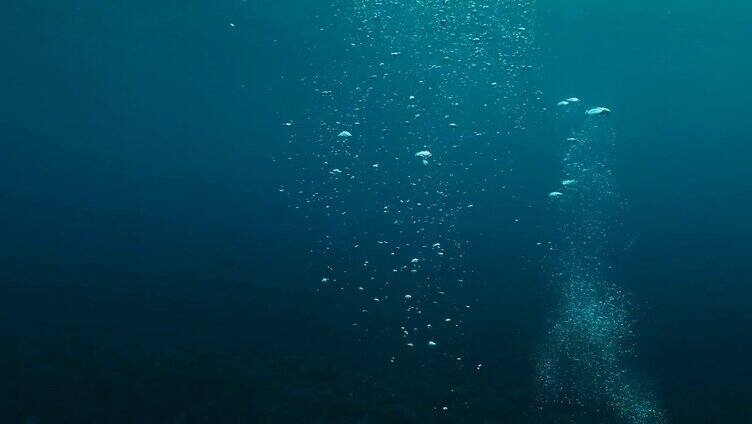 海洋中的水下气泡浮在热带蓝色的海面上。