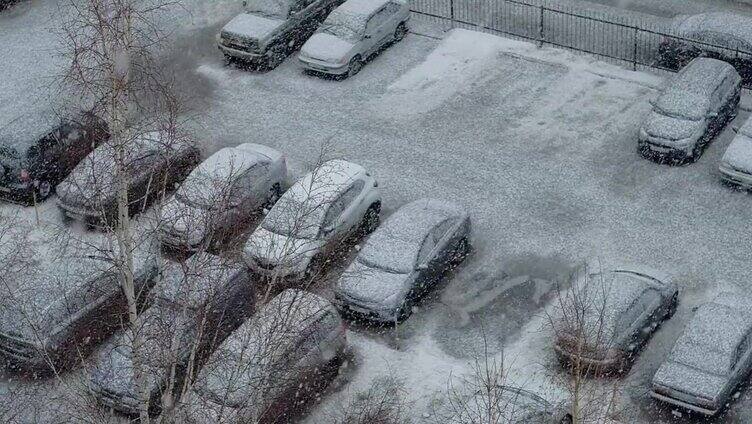 冬天停车，雪花飘落