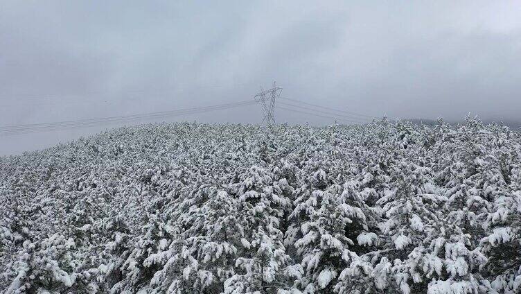 电线，高压塔雪，森林，无人机射击