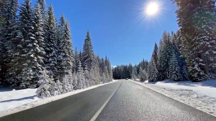 开车的观点，在雪地的乡村道路通过雪白的森林