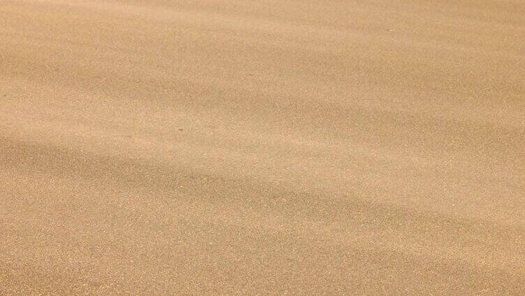 风沙中流动的沙尘风暴沙尘风暴沙漠沙滩