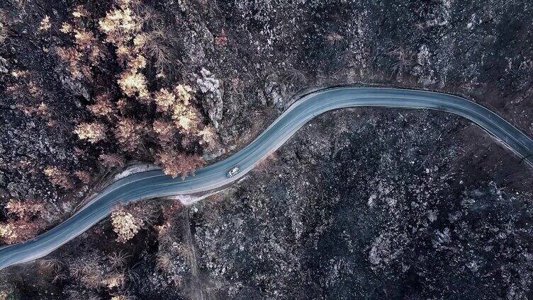 烧焦的森林和乡村道路