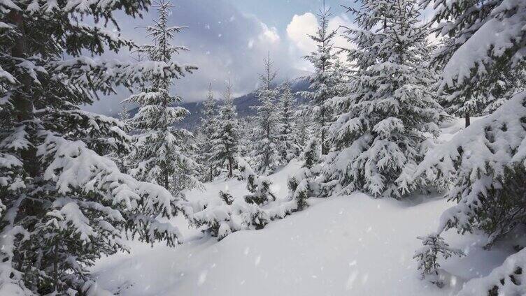 冬季飘雪森林