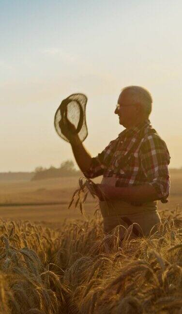 一位年长的农民在夕阳下穿过麦田