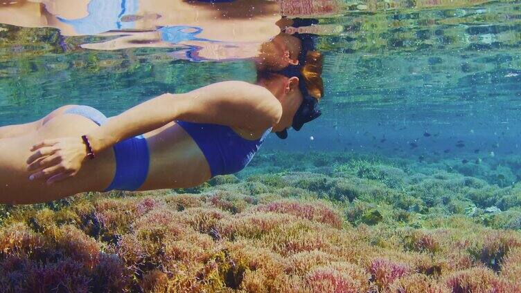 海底潜泳 海底世界珊瑚丛