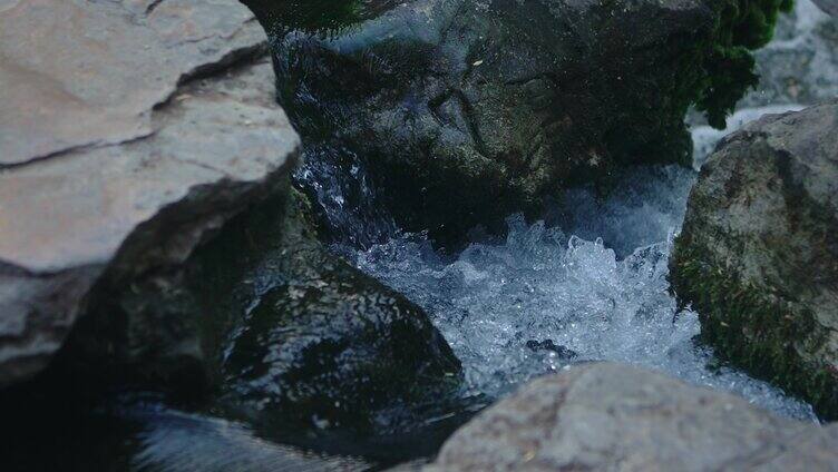 自然小河小溪流水流动