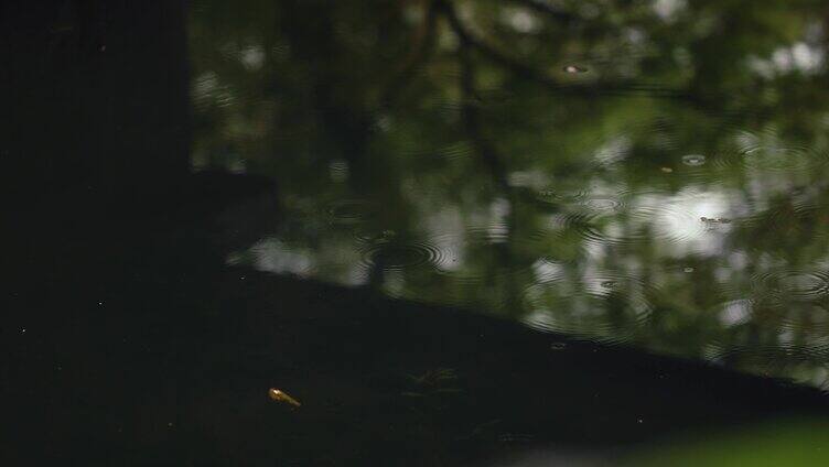 自然雨景水滴唯美水波纹