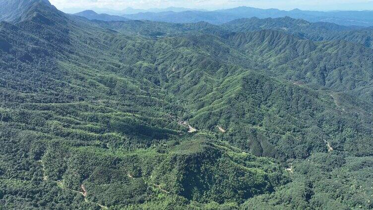 江西金溪：山清水秀生态美