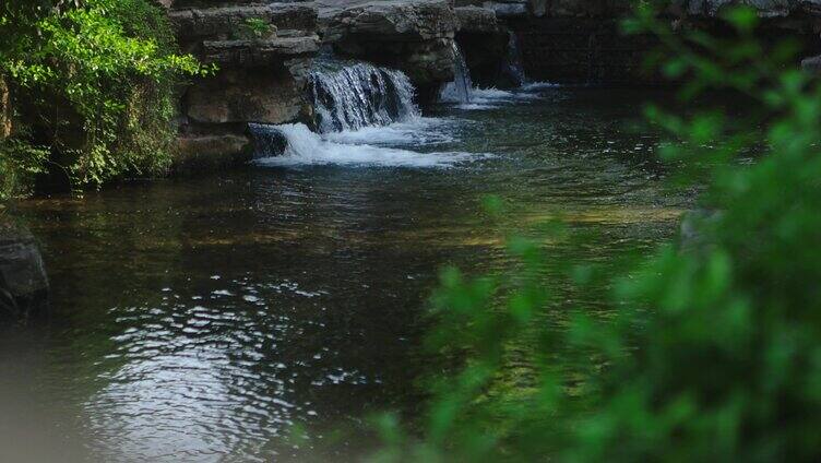 绿色自然植物小溪流水