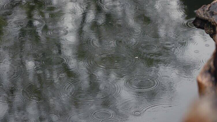 自然雨景水滴唯美水波纹