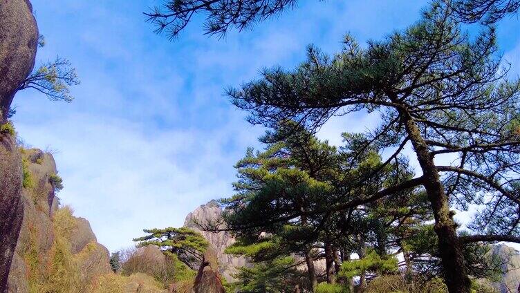 安徽黄山风景区云海延时唯美风景视频素材